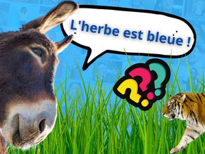 Fable et lâcher prise