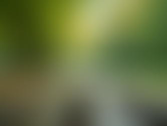 Ways to Enhance Your Mental Health Wellness