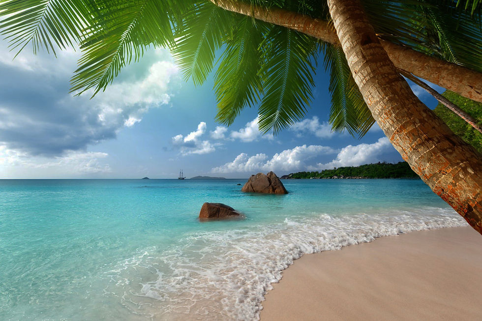 tropical-paradise-beach-coast-sea-blue-emerald-ocean-palm-summer-sand-vacation-tropics-beach-sand-se