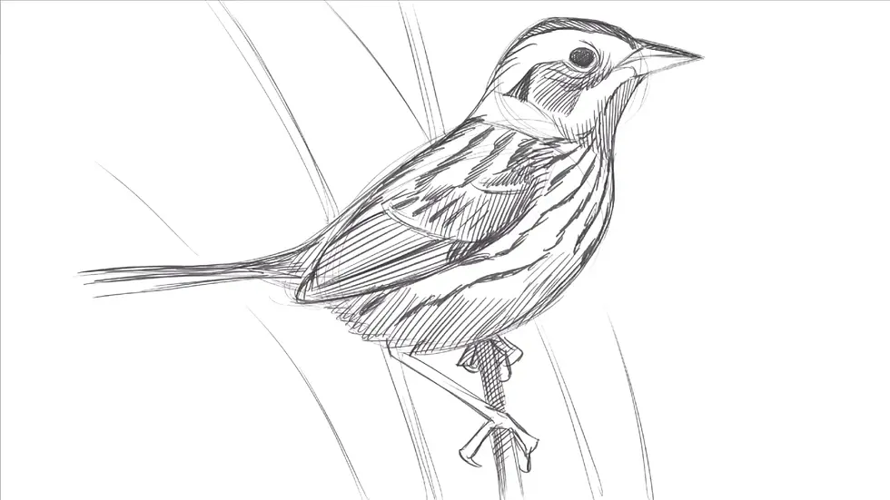 Close-up view of watercolor palette with vibrant bird colors