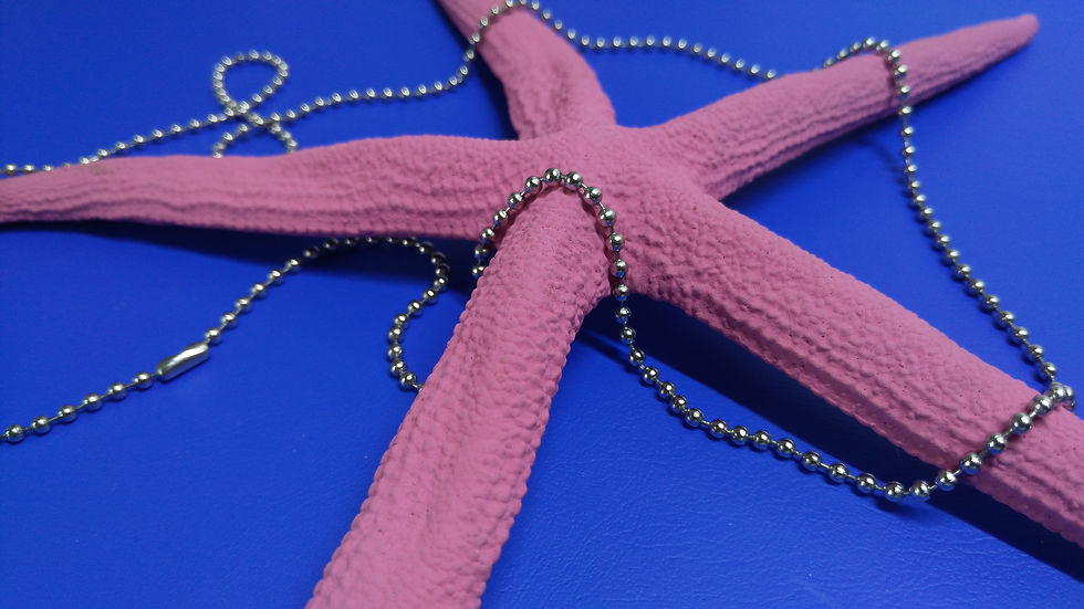 Stainless Steel Ball Chain