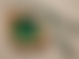 Discover stylish wood dog accessories for modern pet owners