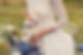 Bride holding a small dog in her arms.jpg