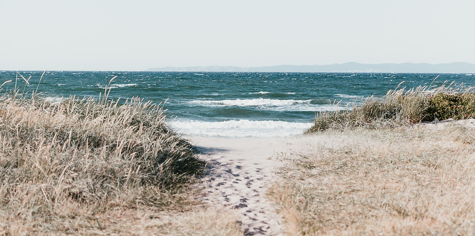 Shoreline
