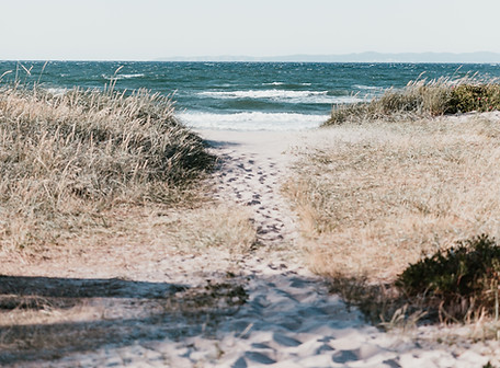 Shoreline