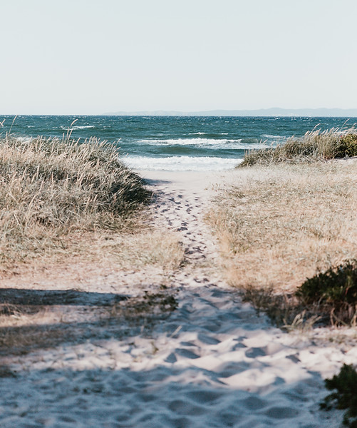 Shoreline
