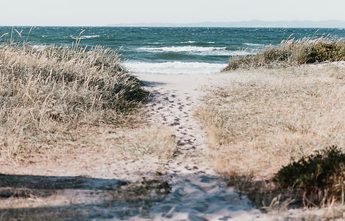 Sandy Pathway Beach