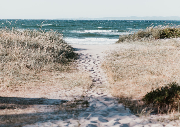 Shoreline