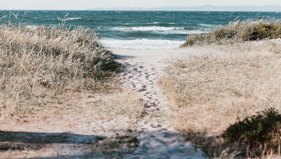 littoral