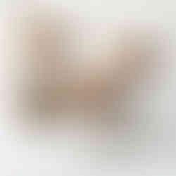 Cooper Medium Glass Canister Crate and Barrel