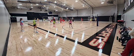 VB Gym (1).png