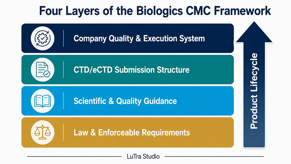 Infographic titled Four Layers of the Biologics CMC Framework, with four colored bars and an upward Product Lifecycle arrow.