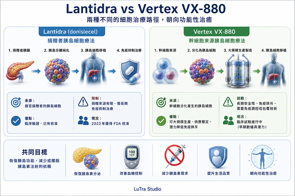 Infographic comparing Lantidra vs Vertex VX-880 with pancreas, cell, and liver icons, Chinese text, blue-green layout.
