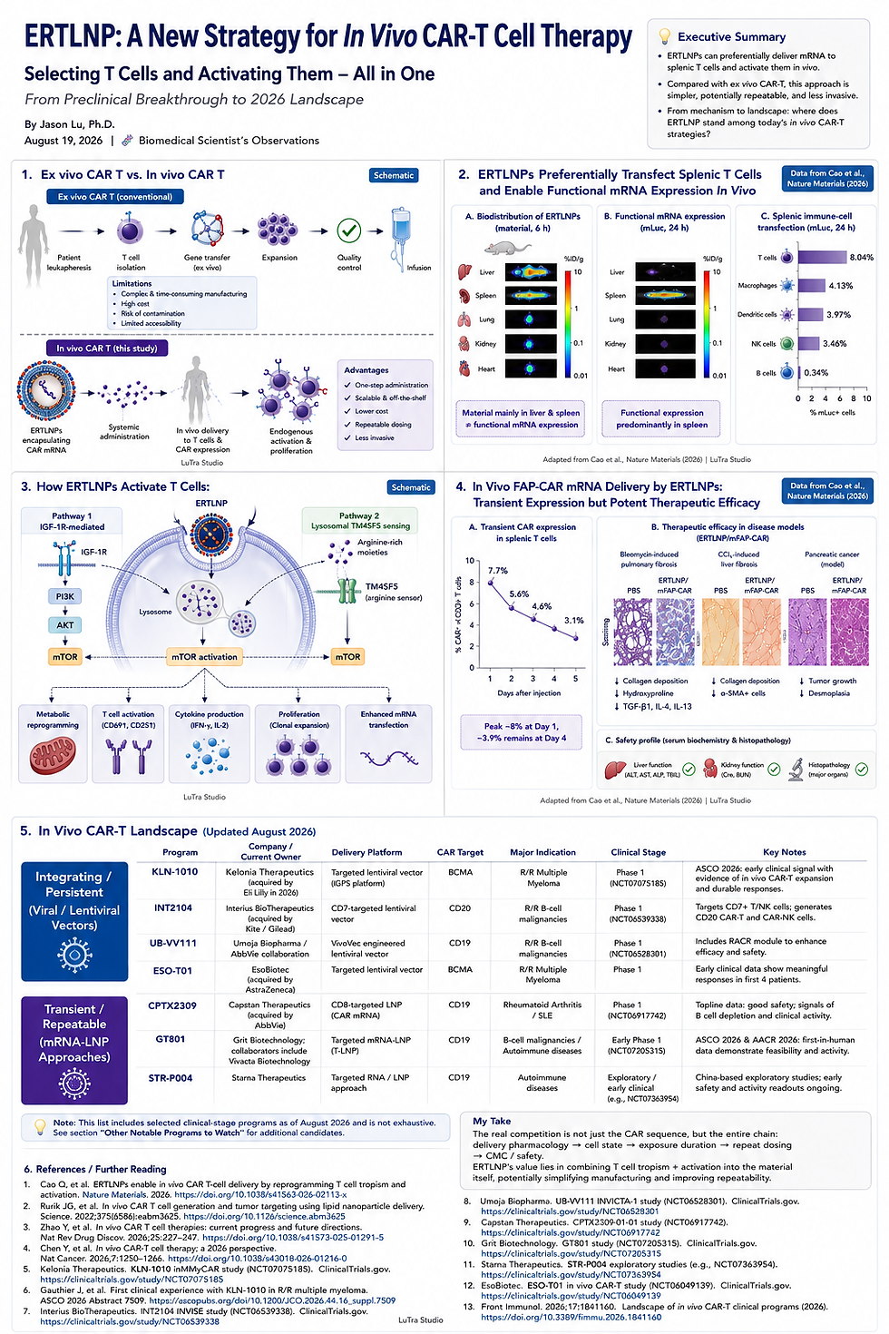 In Vivo CAR T ERTLNP mRNA delivery English overview