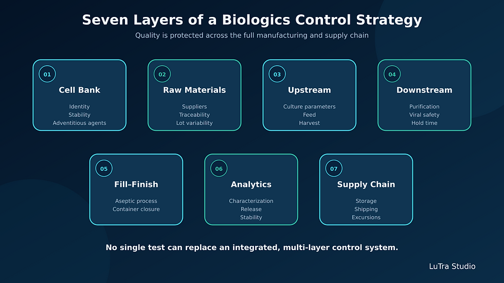 Seven layers of a Biologics Control Strategy across cell banks, materials, manufacturing, fill-finish, analytics, and supply chain.