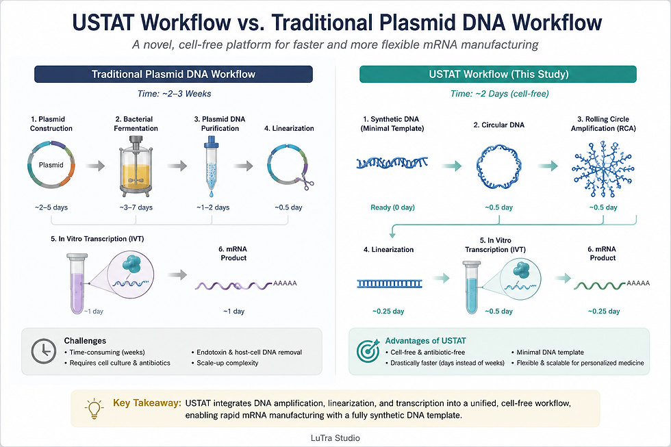 对比信息图:USTAT工作流与传统质粒DNA流程,展示合成DNA、环状DNA、RCA、IVT等步骤及耗时,强调更快、无细胞制造mRNA。