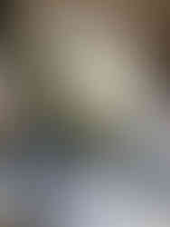 Something Blue wedding inspiration, blue wedding color palette ideas, romantic blue wedding decor, soft blue wedding florals, monochromatic blue wedding cake, vintage piped wedding cake design, blue and white wedding tablescape, Alberta styled wedding shoot, modern romantic wedding inspiration, blue floral wedding centerpiece, curated wedding dessert bar display, floral cake garden design, wedding cake with tonal blue florals, editorial wedding photography Alberta, vintage china wedding table styling, elegant blue wedding stationery, vow books wedding detail, intimate wedding venue Alberta, real couple cake cutting moment, timeless blue wedding theme