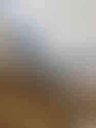 Something Blue wedding inspiration, blue wedding color palette ideas, romantic blue wedding decor, soft blue wedding florals, monochromatic blue wedding cake, vintage piped wedding cake design, blue and white wedding tablescape, Alberta styled wedding shoot, modern romantic wedding inspiration, blue floral wedding centerpiece, curated wedding dessert bar display, floral cake garden design, wedding cake with tonal blue florals, editorial wedding photography Alberta, vintage china wedding table styling, elegant blue wedding stationery, vow books wedding detail, intimate wedding venue Alberta, real couple cake cutting moment, timeless blue wedding theme