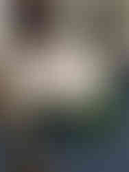 Something Blue wedding inspiration, blue wedding color palette ideas, romantic blue wedding decor, soft blue wedding florals, monochromatic blue wedding cake, vintage piped wedding cake design, blue and white wedding tablescape, Alberta styled wedding shoot, modern romantic wedding inspiration, blue floral wedding centerpiece, curated wedding dessert bar display, floral cake garden design, wedding cake with tonal blue florals, editorial wedding photography Alberta, vintage china wedding table styling, elegant blue wedding stationery, vow books wedding detail, intimate wedding venue Alberta, real couple cake cutting moment, timeless blue wedding theme