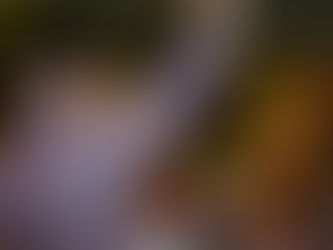 Nothing worse than a bad DJ. What makes a great DJ? 