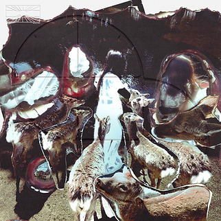 ZERO COVER - FINAL for dsps.png