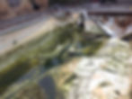 Pool Renovation