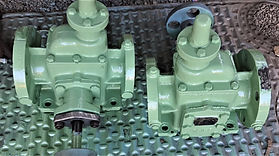 TAIKO PUMPS (2).jpeg