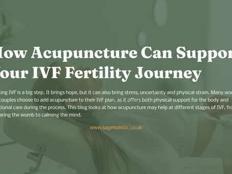 How Acupuncture Can Support your IVF Fertility Journey