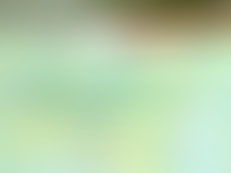 Acupuncturist's Emergency Guide: Essential First Aid Points You Need to Know