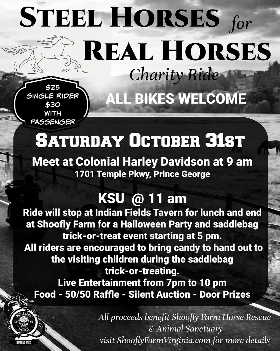 Steel Horses for Real Horses Charity Ride
