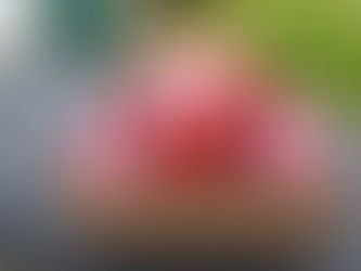 Les Distributeurs solidaires de bandes hygiéniques débarquent à l'ULB !