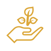 Icons-01.png