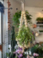 Thumbnail: XXL Beaded Plant Hanger