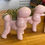 Thumbnail: PINK POODLE WITH AIR PLANT