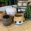Thumbnail: Pom Pom Basket