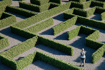 Albion v EFL: pending