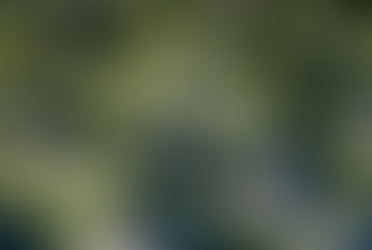 Albion v EFL: pending