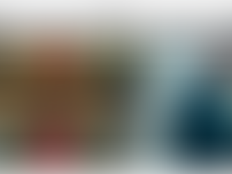 “Los abogados queremos un ICAB que denuncie las injusticias y no un Colegio que sea servil con el p