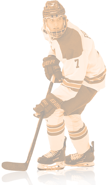 D1D-ABOUT-PLAYER-OUTLINE.png