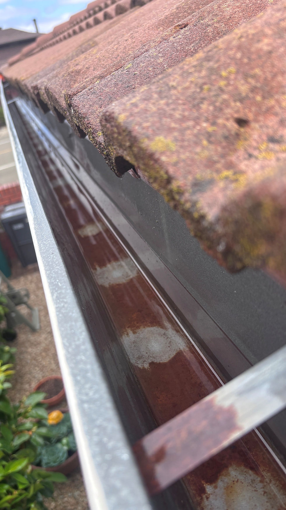 Gutter cleaning hayward Ca