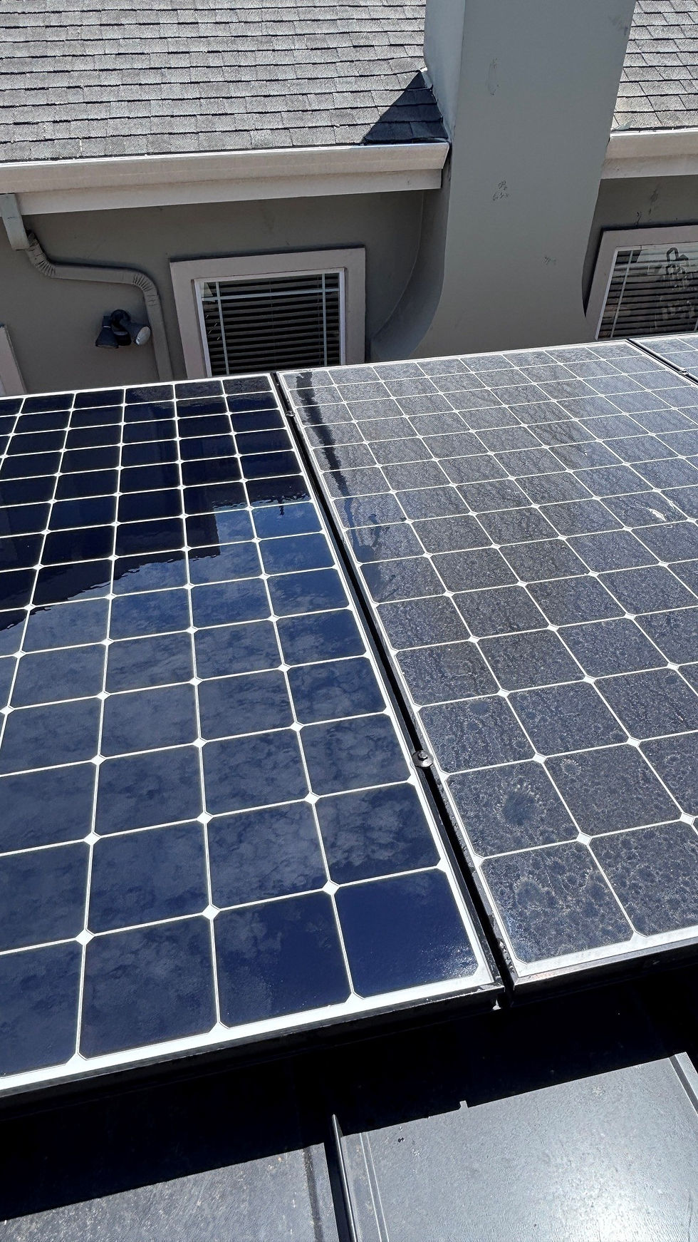 Best Time to Clean Solar Panels in Bay Area, CA