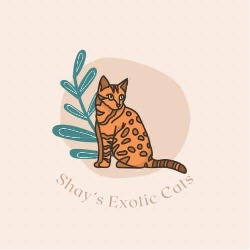 Shay's Exotic Cats logo