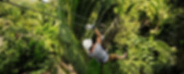 zipling through the jungle in belize