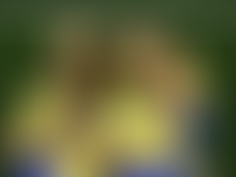 Pela segunda vez, Brasil faz quatro gols em um primeiro tempo em jogo de Copa