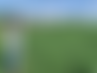 Produtora de Nova Olímpia se torna referência em manejo de capim braquiária