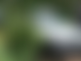 Bandido rouba carro e capota em rotatória de MT