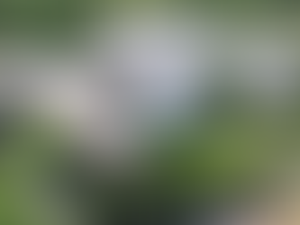 Seduc-MT repudia desordem liderada por integrantes do Sintep-MT durante audiência pública em MT