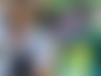 Novamente, MT tem representação feminina plural na Câmara