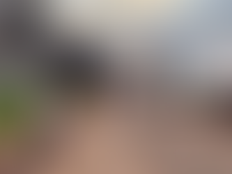 Engenheiros avaliam danos causados em ponte que liga dois municípios de MT incendiada por manifestan