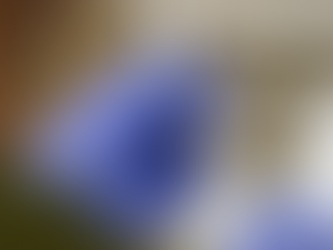 Governo recebe novo lote de vacinas contra covid-19